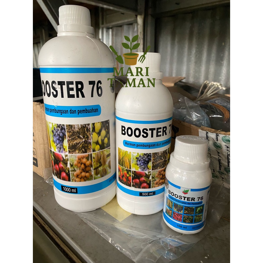 Booster 76 – Hormon Pembungaan dan Pembuahan