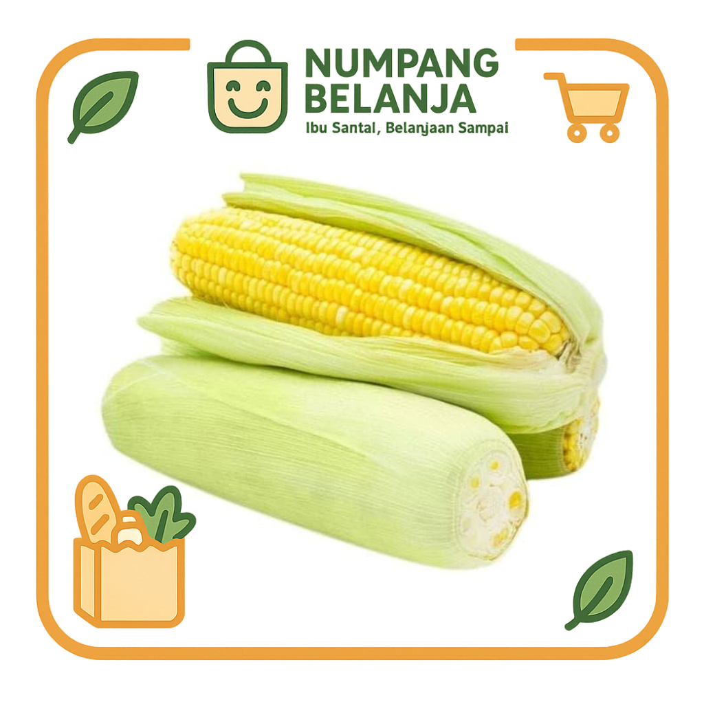 

jagung manis fresh [1 buah]
