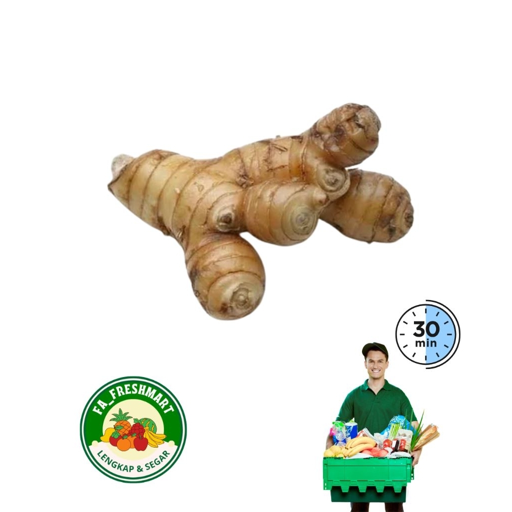 

lengkuas / laos 250gr