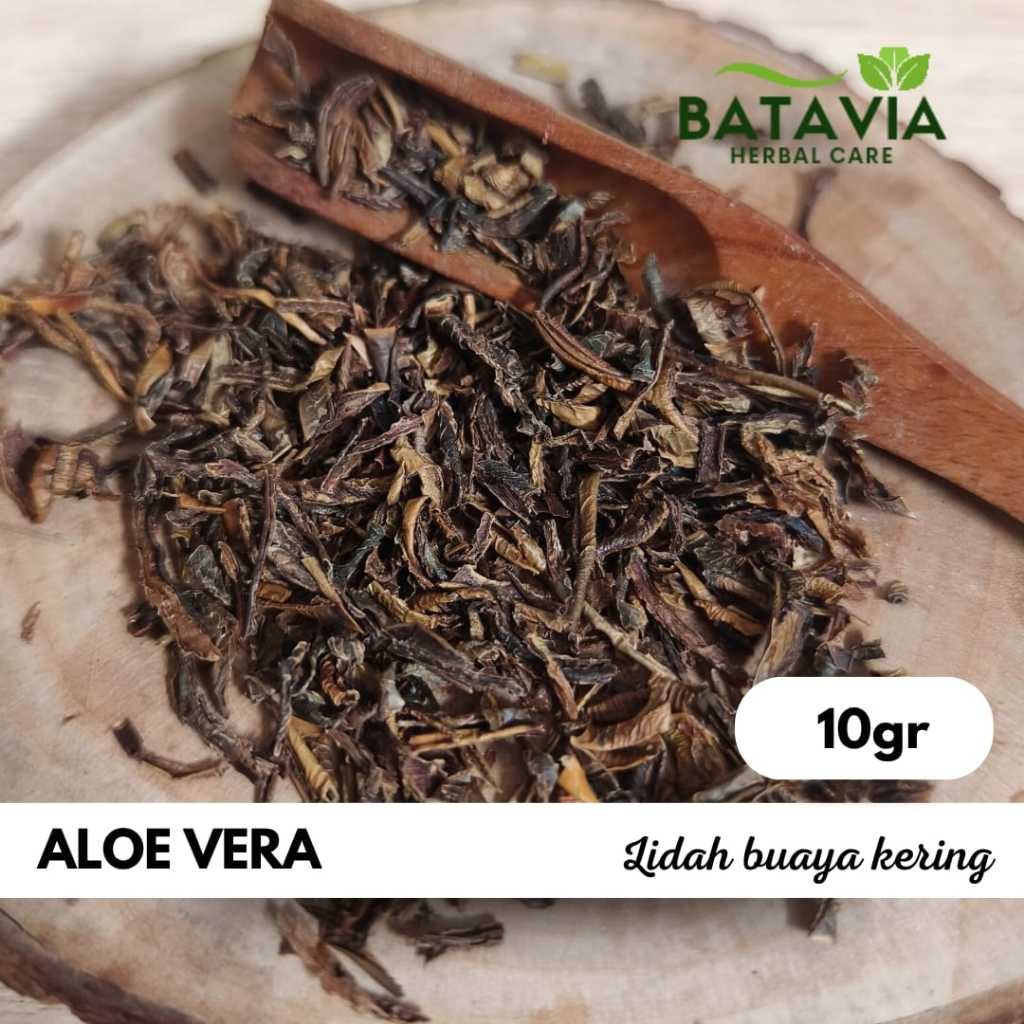 

Aloe Vera Tea Teh Lidah Buaya Kering Cacah Premium Herbs Time