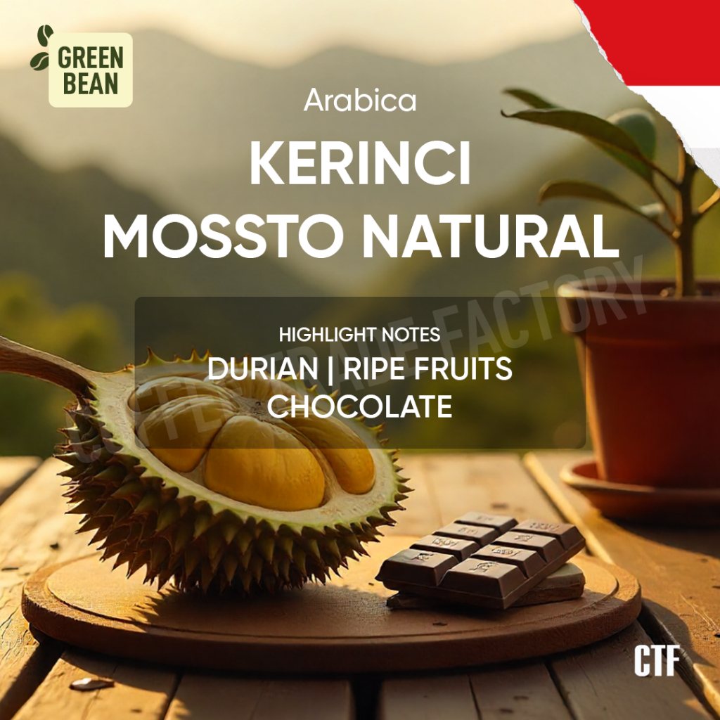 

Green Beans Kerinci Mossto Natural Kopi Premium Asli Sumatera