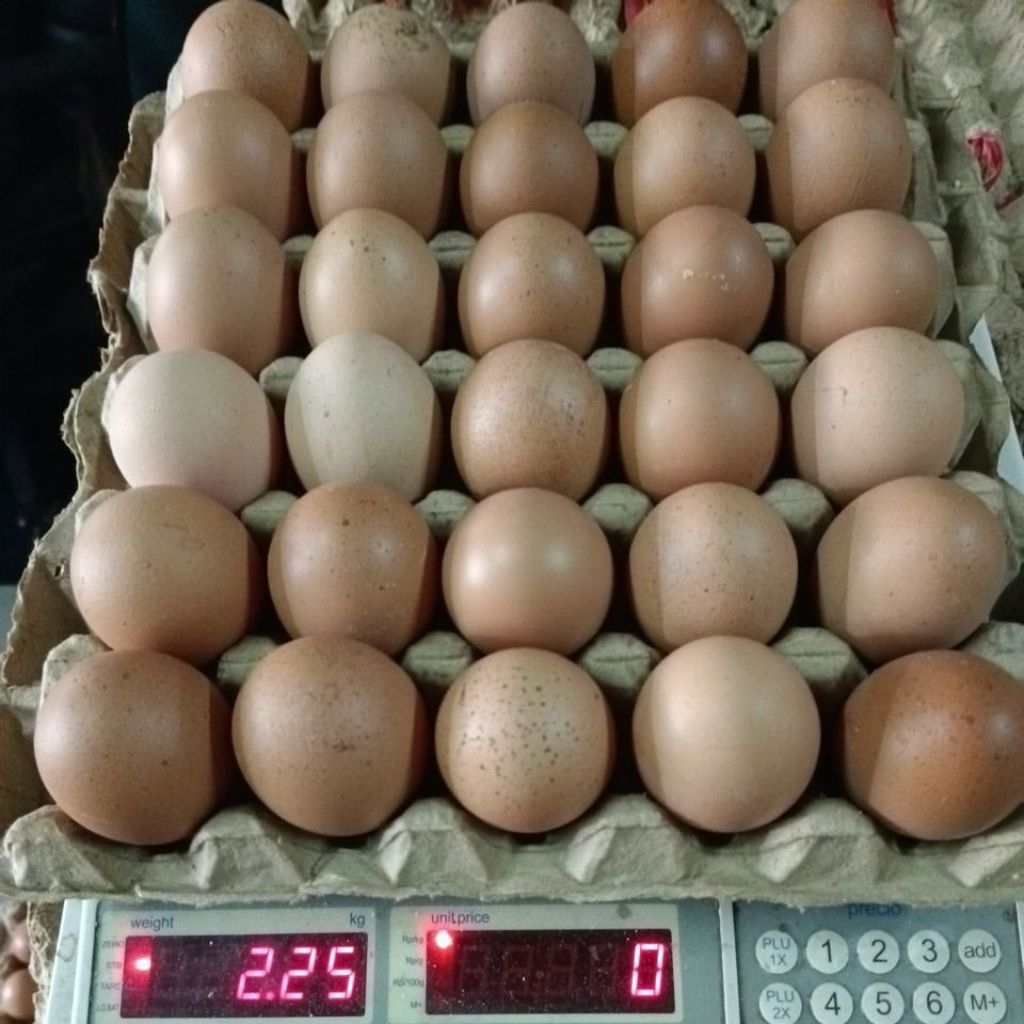 

Telur ayam uk. grade Jumbo
