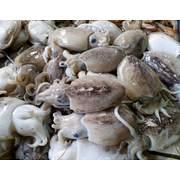 

Balakutak 500gr - 1KG | JBP_Fresh