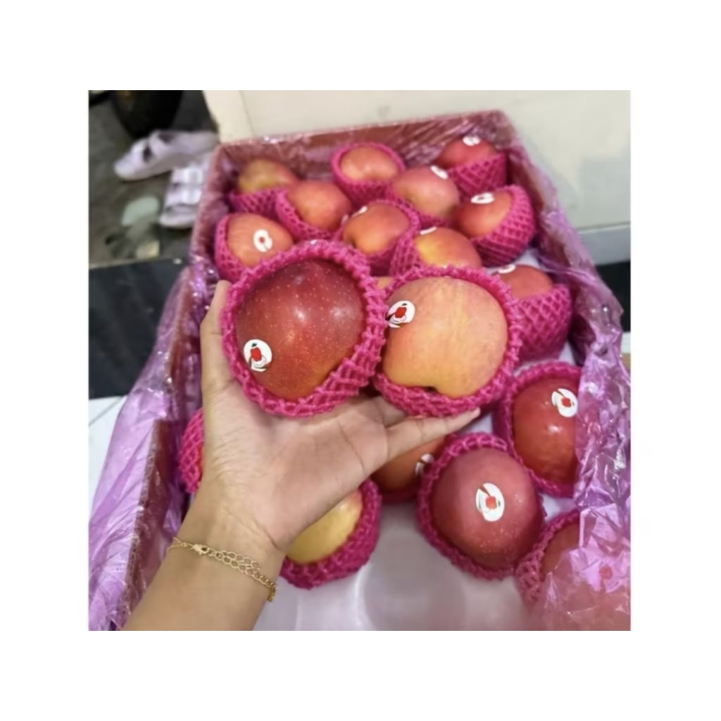 

APEL FUJI KUALITAS SUPER GRADE A 1 Kg