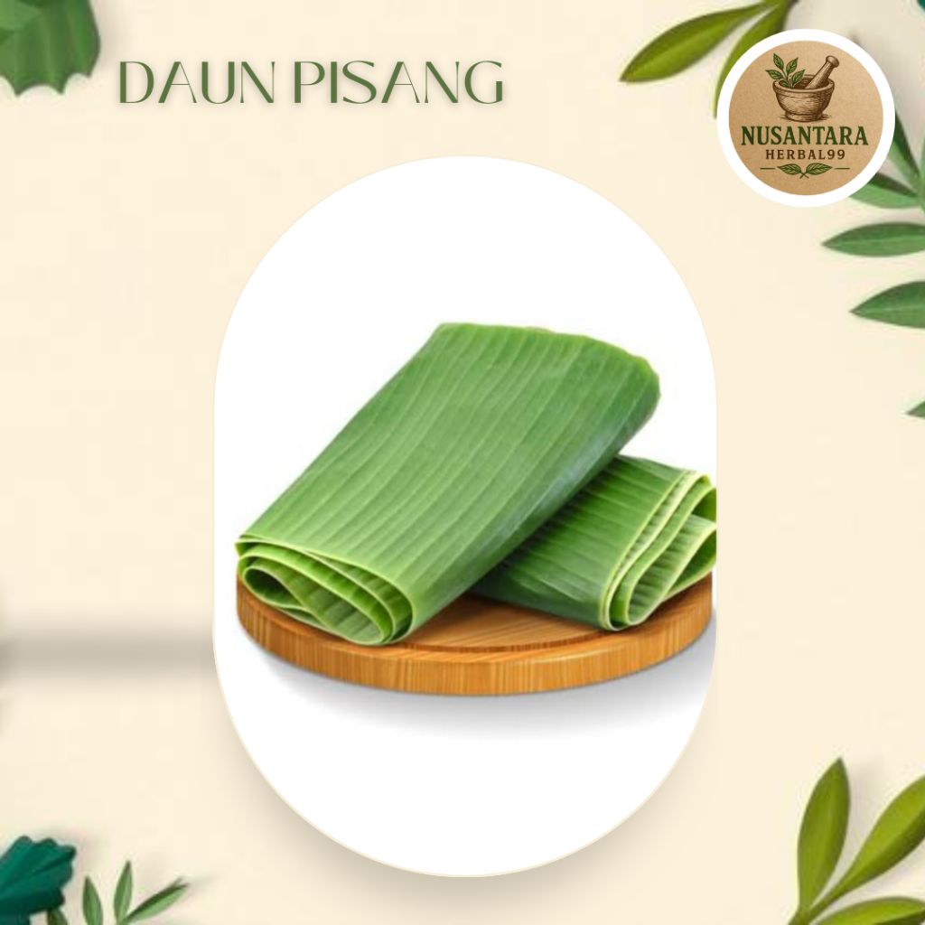 

Daun Pisang Segar Bersih Perikat