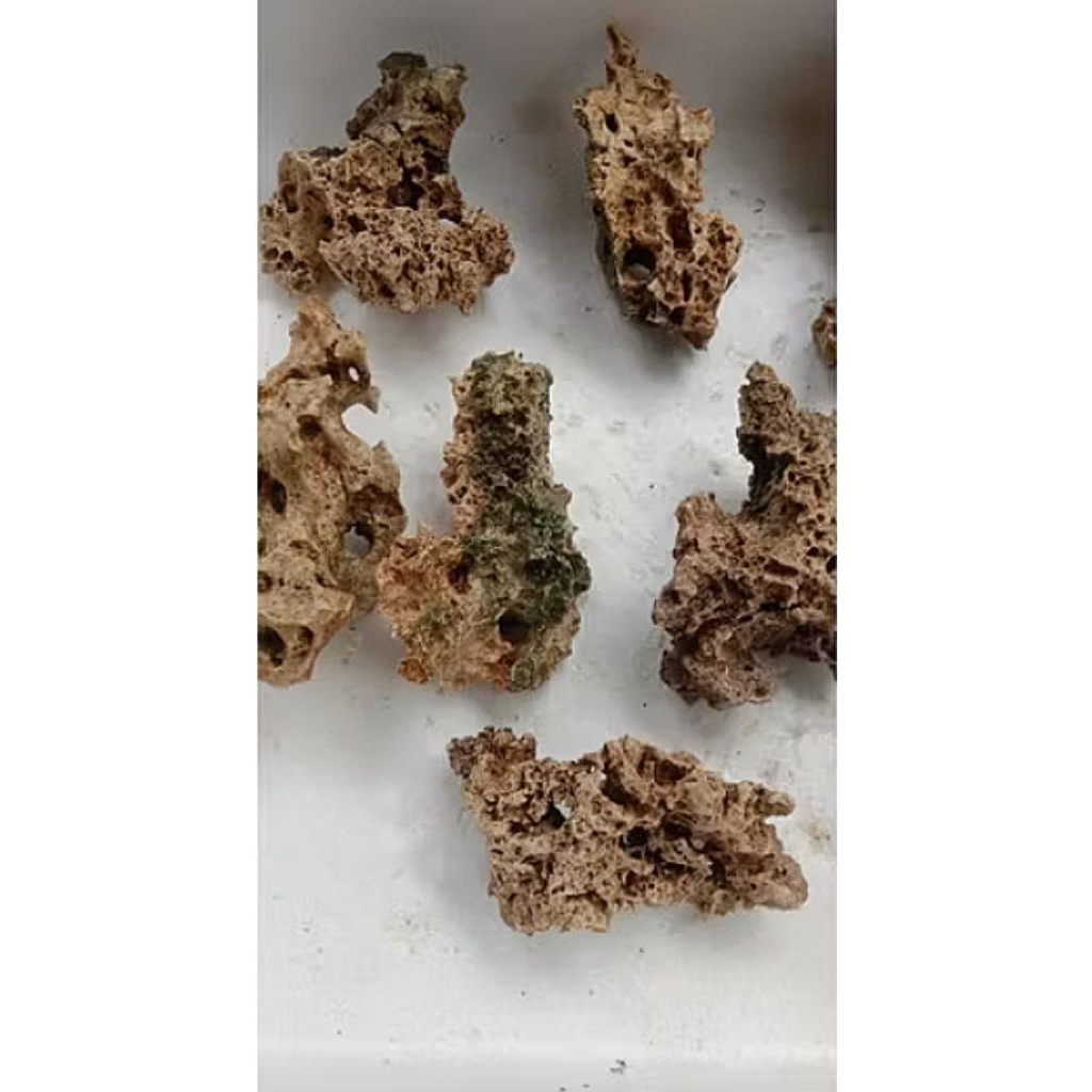 Batu hias/batu karang gunung/batu rangkaian bonsai