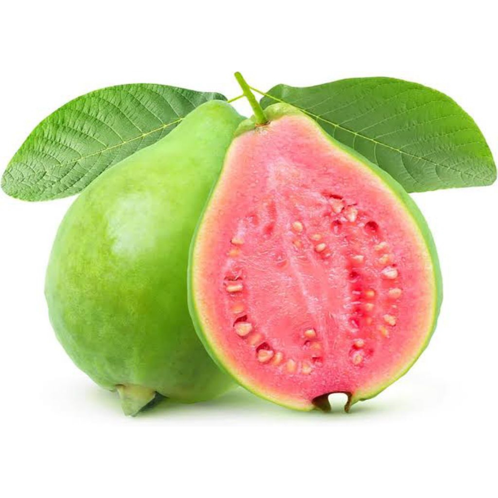 

Jambu Biji Merah / Red Guava 1 kg Fresh (Buah Segar)