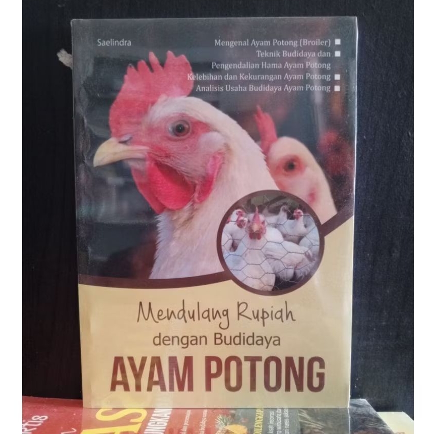 Mendulang Rupiah Dengan Budidaya Ayam Potong - Saelindra
