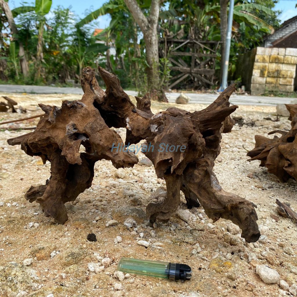 kayu rantek aquascape bentuk alami uk XL
