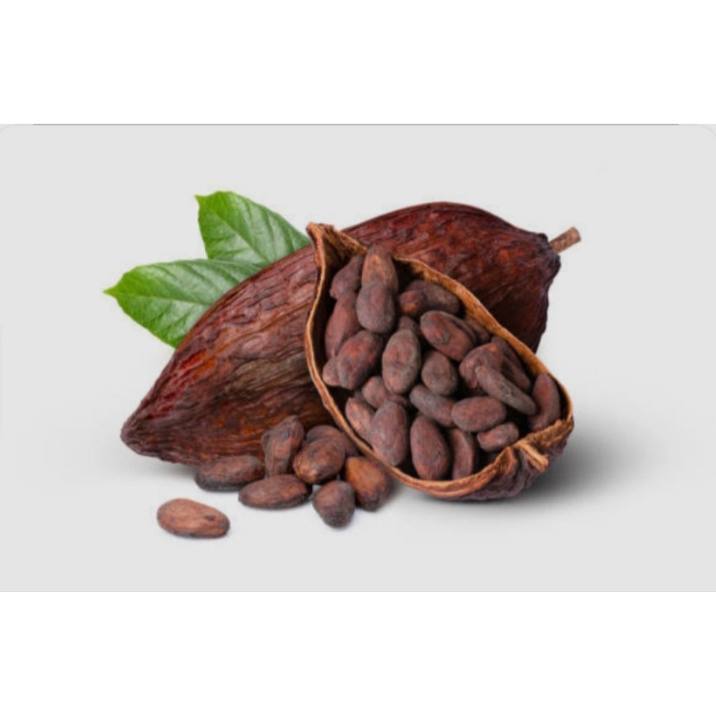 

THEOBROMA CACAO / COKLAT Sulawesi MCC-02 kering,per 500gram