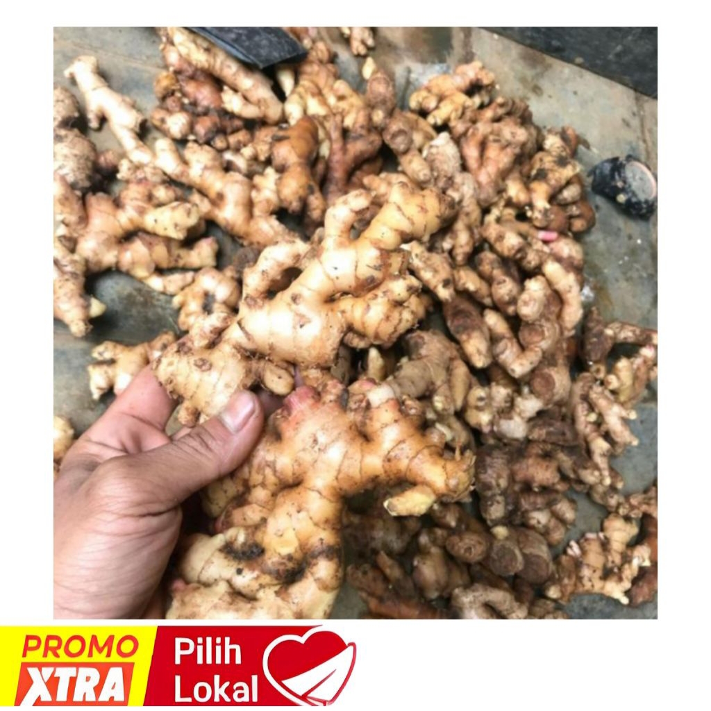 

JAHE EMPRIT ASLI 100% SUPER FRESH 500G