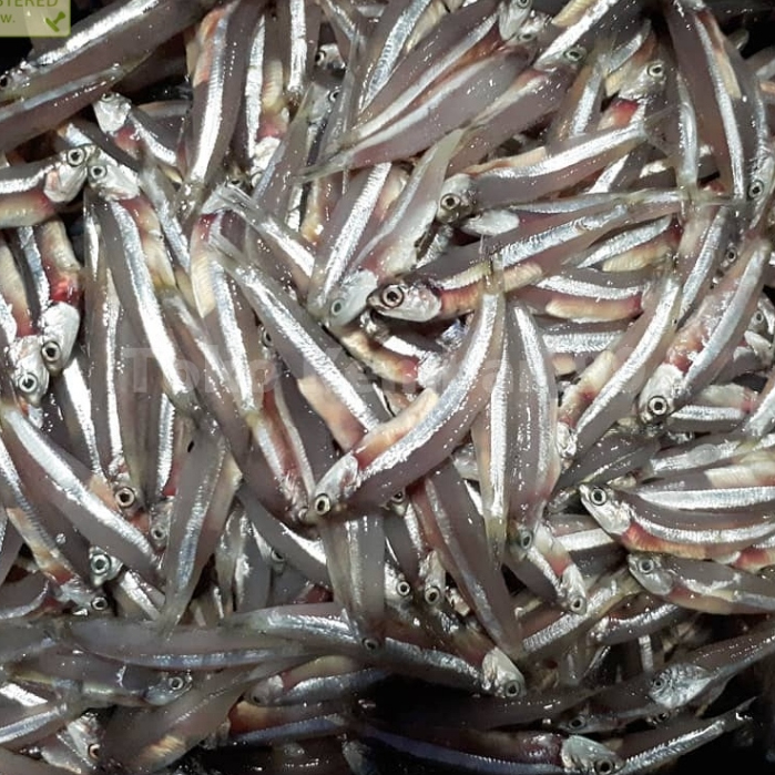 

Ikan Teri Basah Segar 1 Kg / Ikan Teri Basah