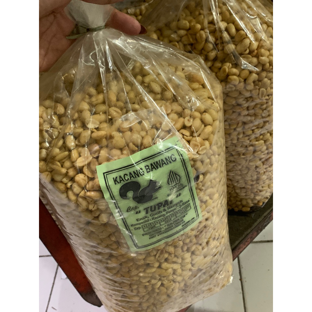 

KACANG BAWANG TUPAI
