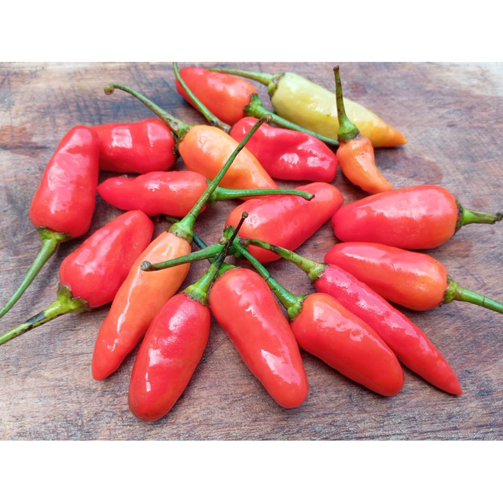

Cabe Rawit Merah Ori 500gr