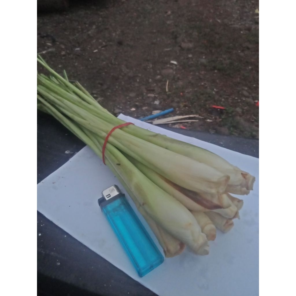 

serai1kg bahan bumbu masakan dan bisa di jadikan bahan minuman di ambil dari petani langsung