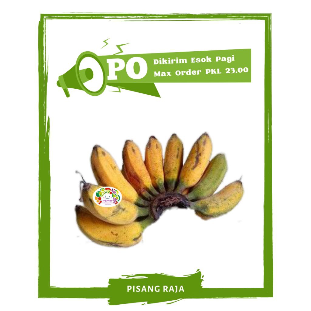 

Pisang Raja Bulu / Buah Buahan Segar PO Mallahrizwa