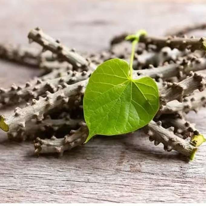 

Bratawali ( 500gram)