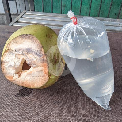 

Air Kelapa Muda 1 Bungkus | JBP_Fresh