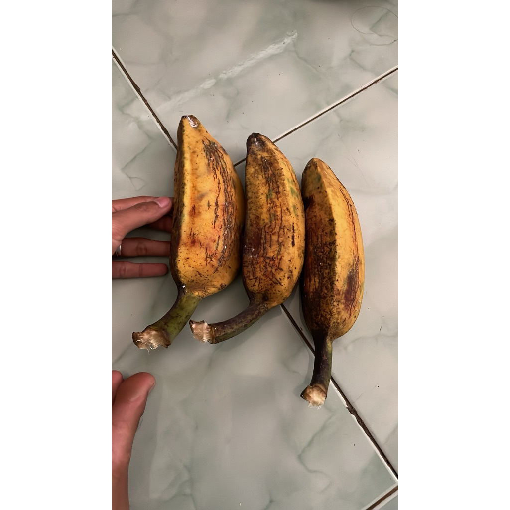 

pisang kepok mantull