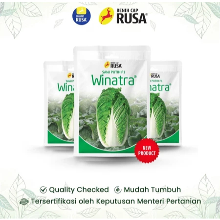 

Ready BENIH Sawi Putih Hibrida WINATRA