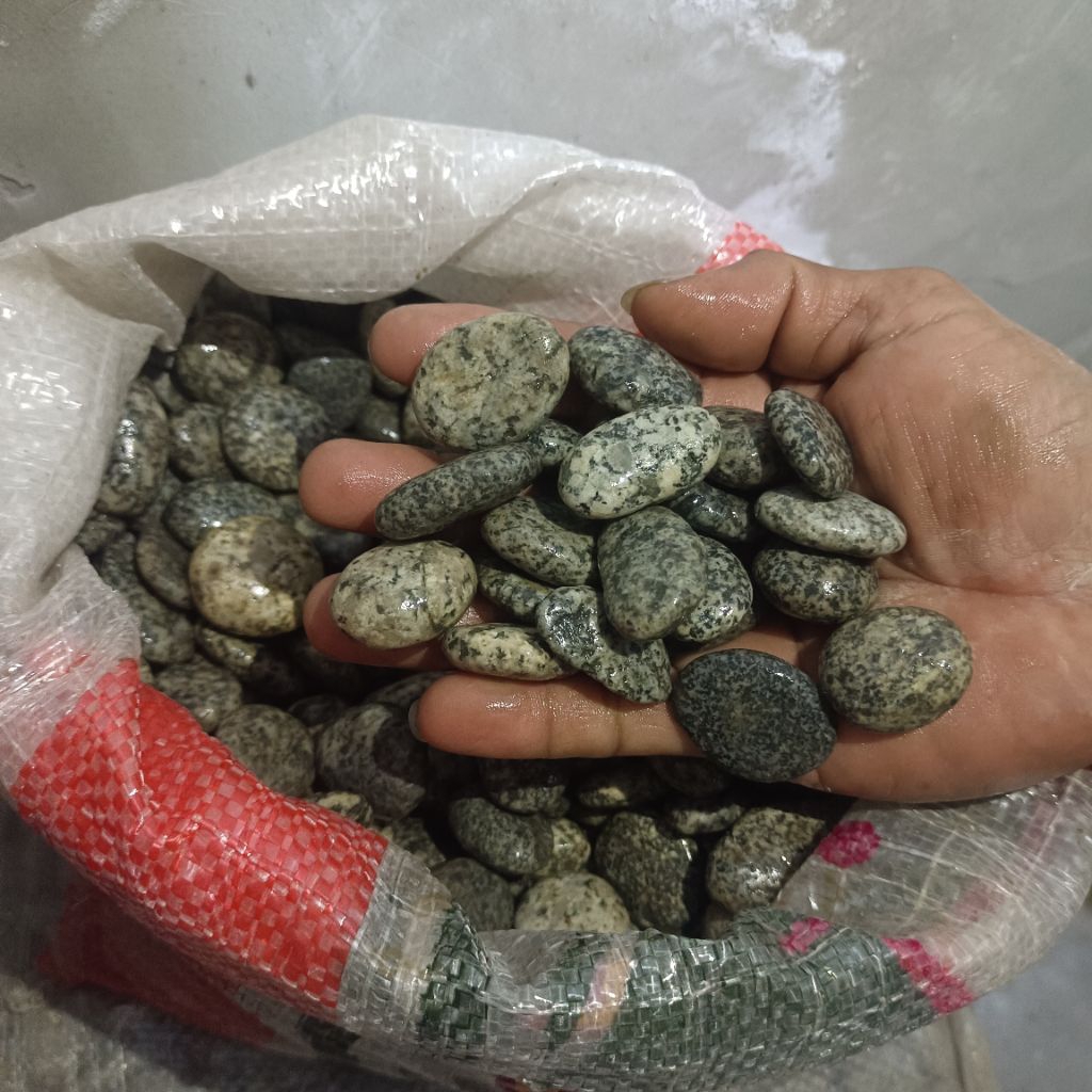 Batu Telur Puyuh 1kg / Batu Koral Telur Puyuh / Batu Abu Hitam Putih / Batu Totol / Hiasan Taman