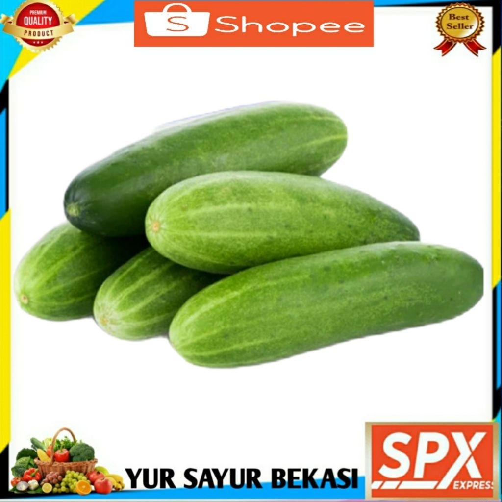 

Timun/Ketimun/Mentimun Segar 500gr.