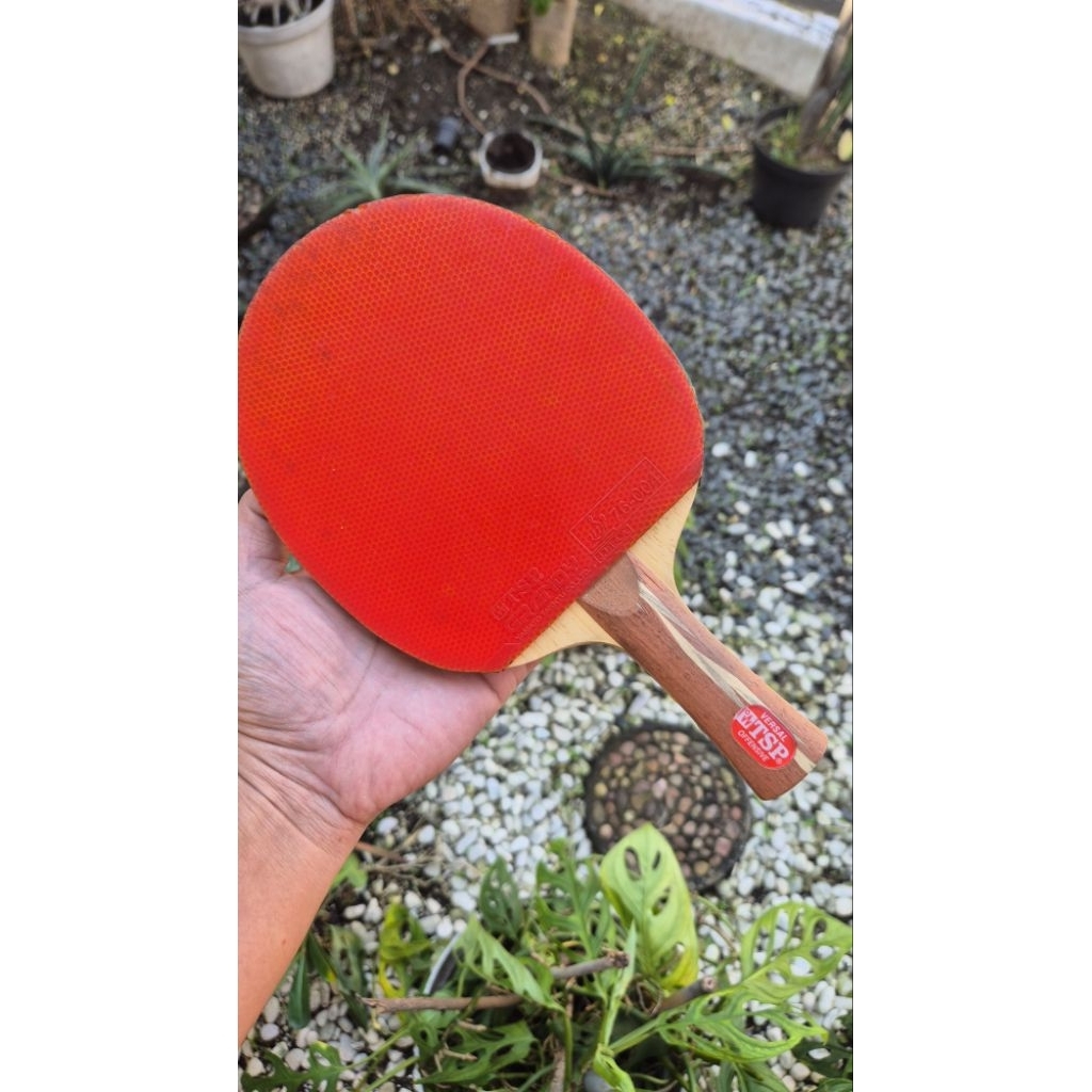 Bet pingpong TSP Versal Flared - Offensive Table Tennis Blade JTTA japan with  tsp grandy 76-004 sec