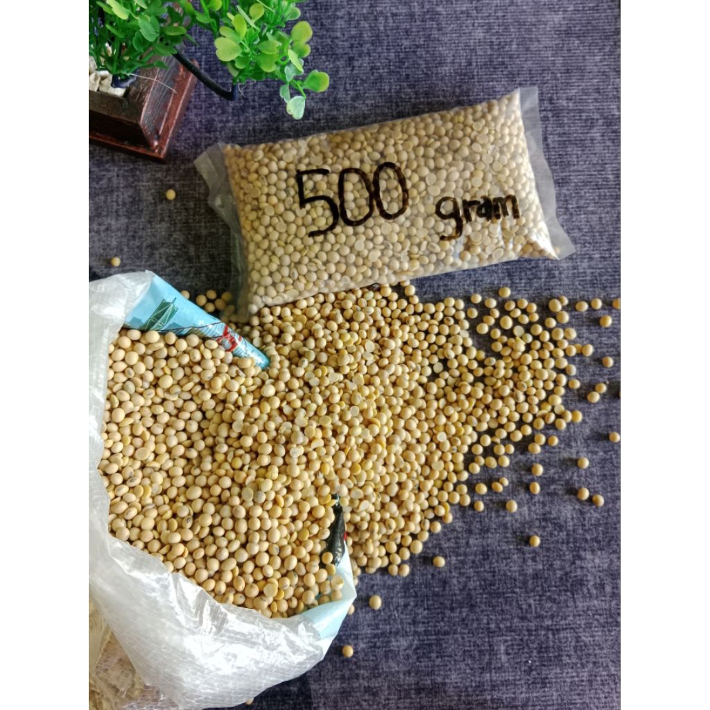 

Agen Kacang kedelai import 500 gram PREMIUM