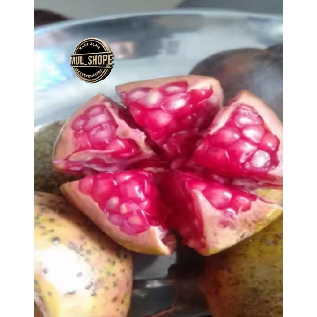 

buah delima / buah merah asli / buah delima segar / delima lokal / delima mateng