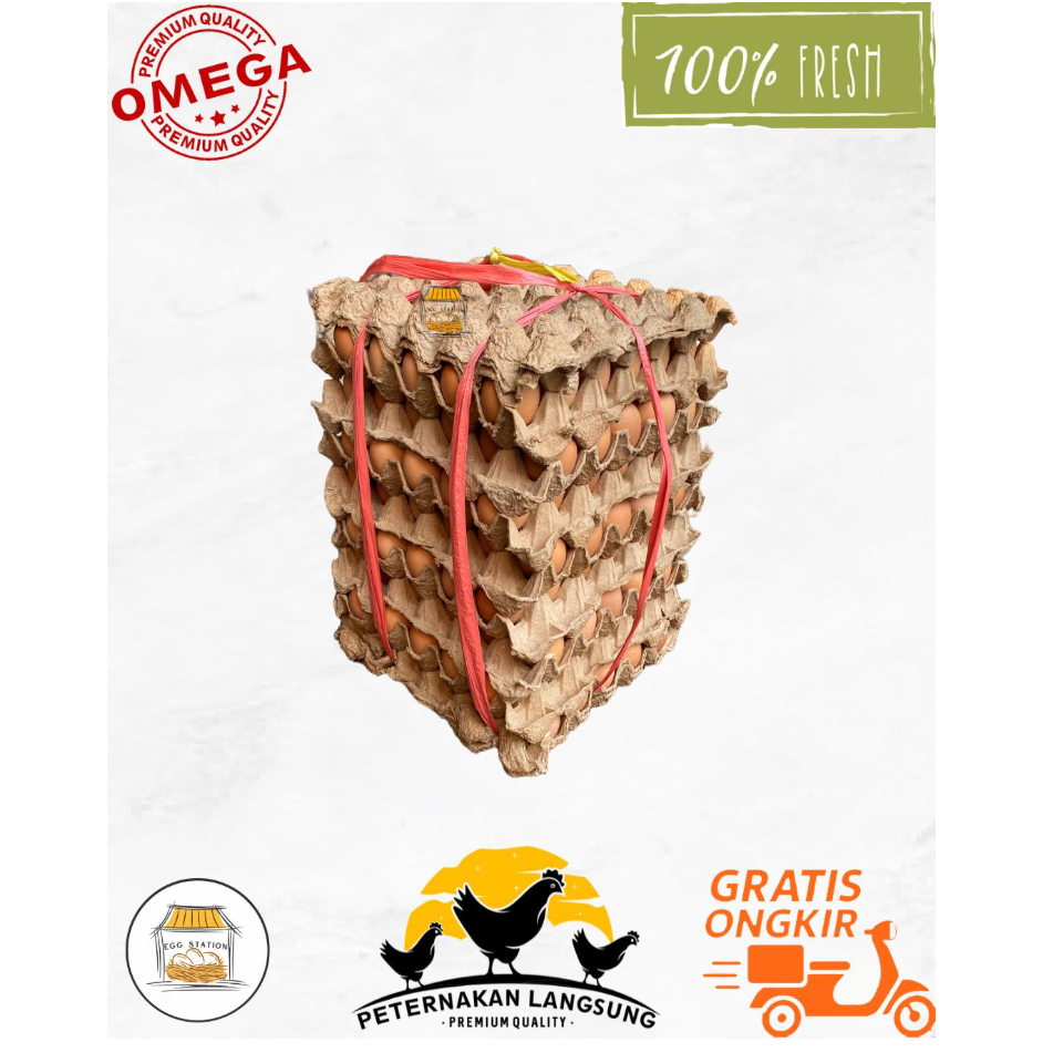 

Telur Ayam Negeri OMEGA 3 - 15KG FRESH Grade A Bersih Kualitas Terbaik