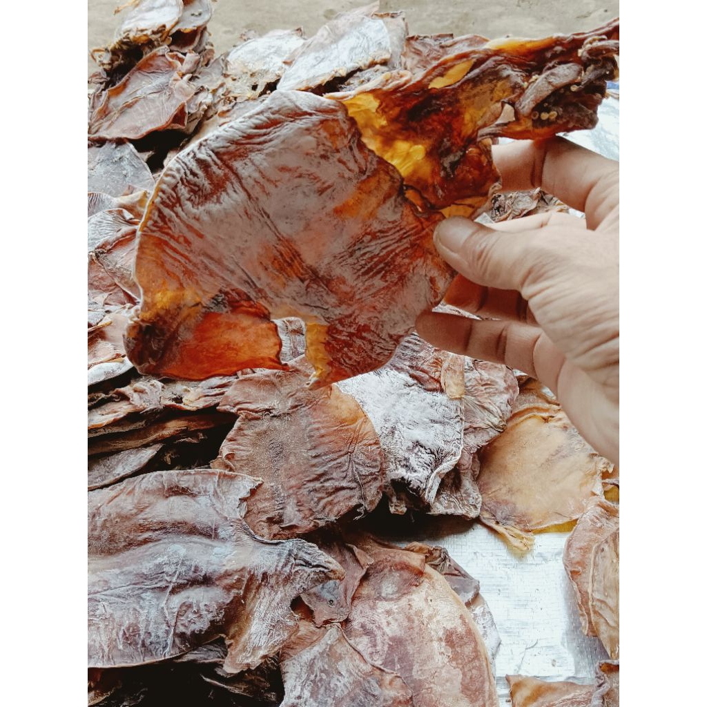 

Ikan cumi kering tawar juhi atau sotong kering tawar bekas sortir