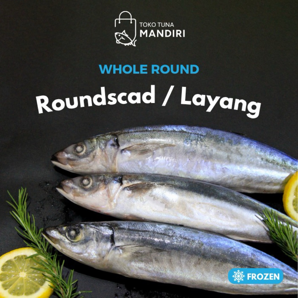 

Frozen Whole Round Roundscad | Ikan Layang Utuh | Kemasan Vakum 1kg+ | Fresh Frozen - Layang Vacuum