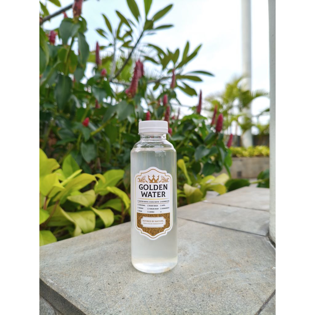 

Water Kefir Prebiotics Boost - Original PLUS Vitamin C dan Collagen dari Korea