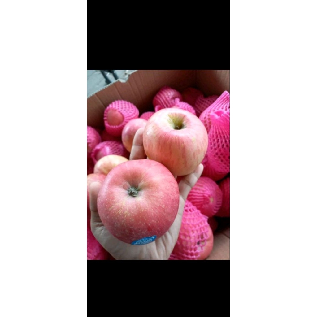 

apel Fuji .manis. seger. kemasan 500 gram