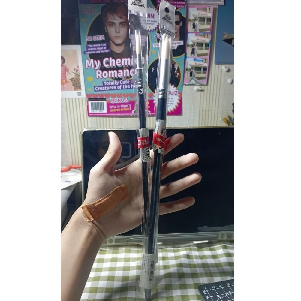 

PHOENIX BRUSH SEALED ROUND UK 6 DAN 16