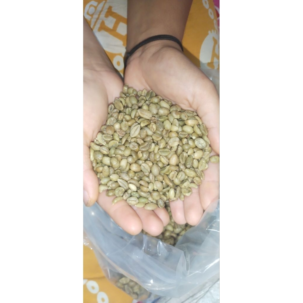 

biji kopi ekselsa petik merah natural proses