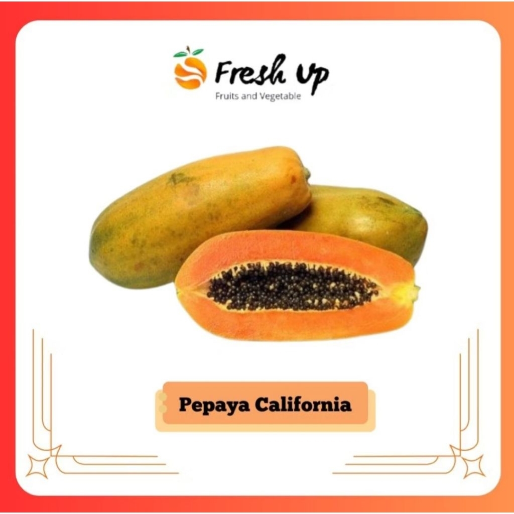 

Pepaya California Lokal Super 1 Buah