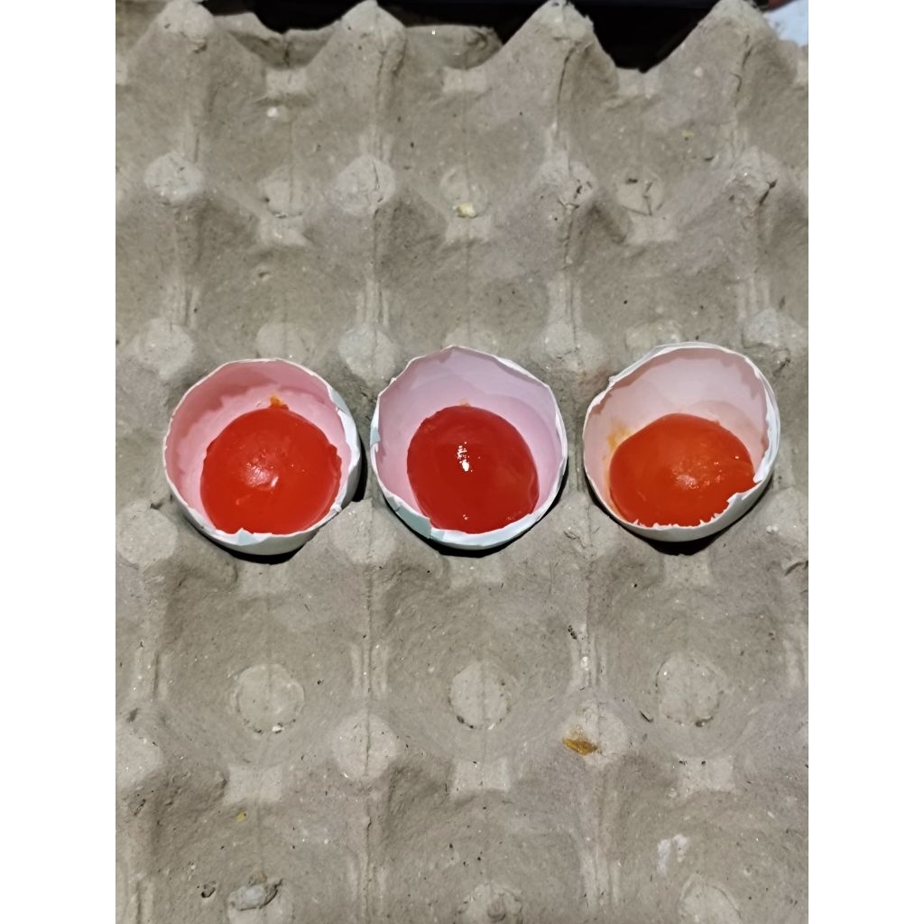 

MANIK MERAH TELUR ASIN OMEGA//BULAT UK.AB//EGG YOLK//SALTED EGG//FROZZEN FRESH//KEMAS PRESS VAKUM//KUNING TELUR ASIN