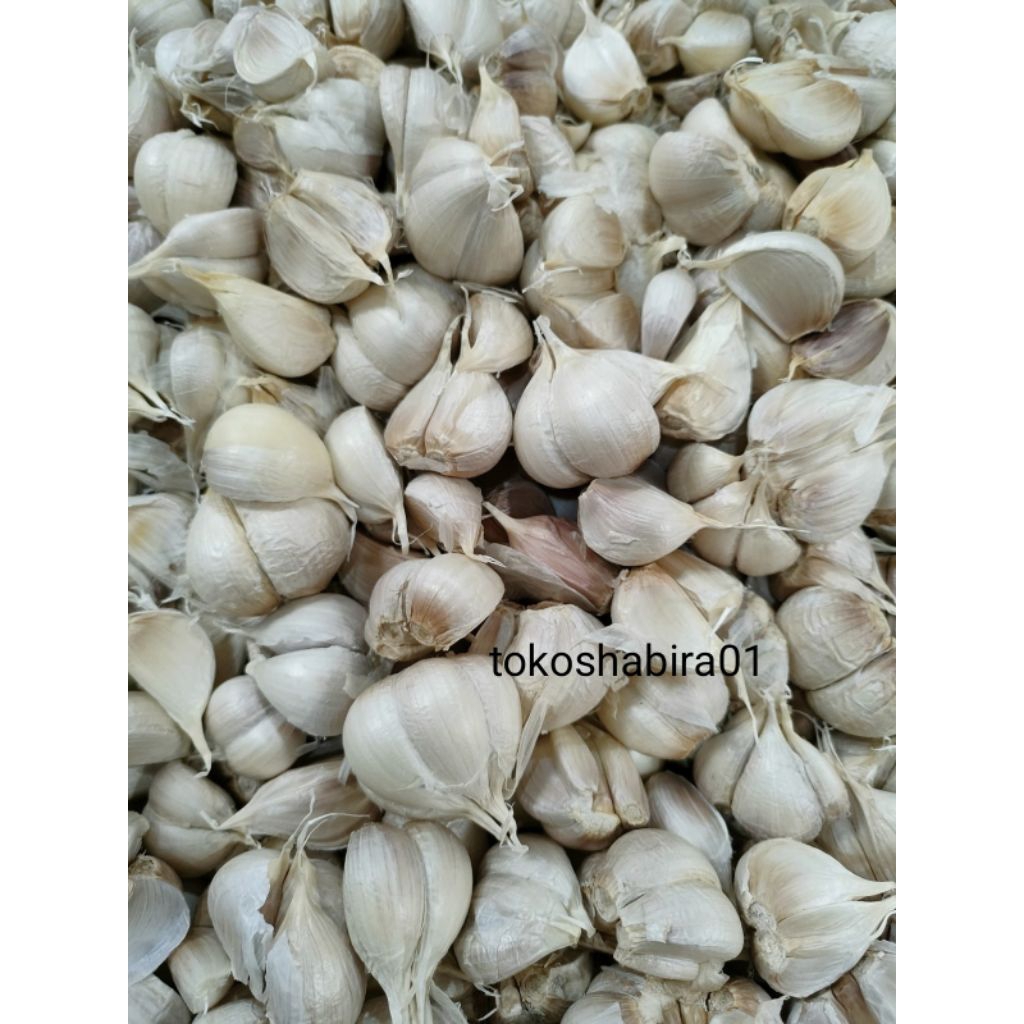 

BAWANG PUTIH KATING BERSIH 1KG