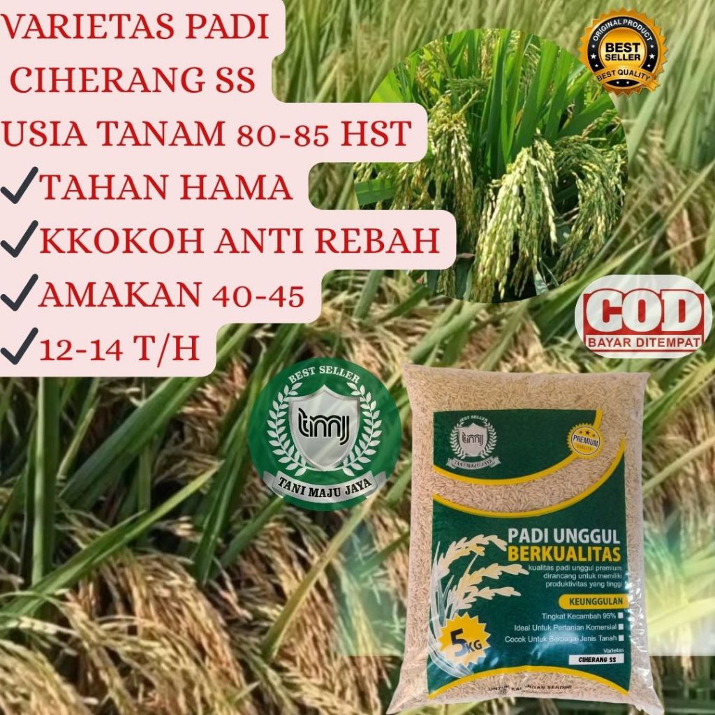 BIBIT PADI BENIH PADI UNGGUL VARIETAS CIHERANG SS KEMASAN 5 KG
