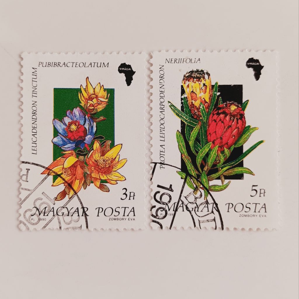 

(AG) Perangko Hongaria 1990 Flora of Africa Set 2 pcs CTO