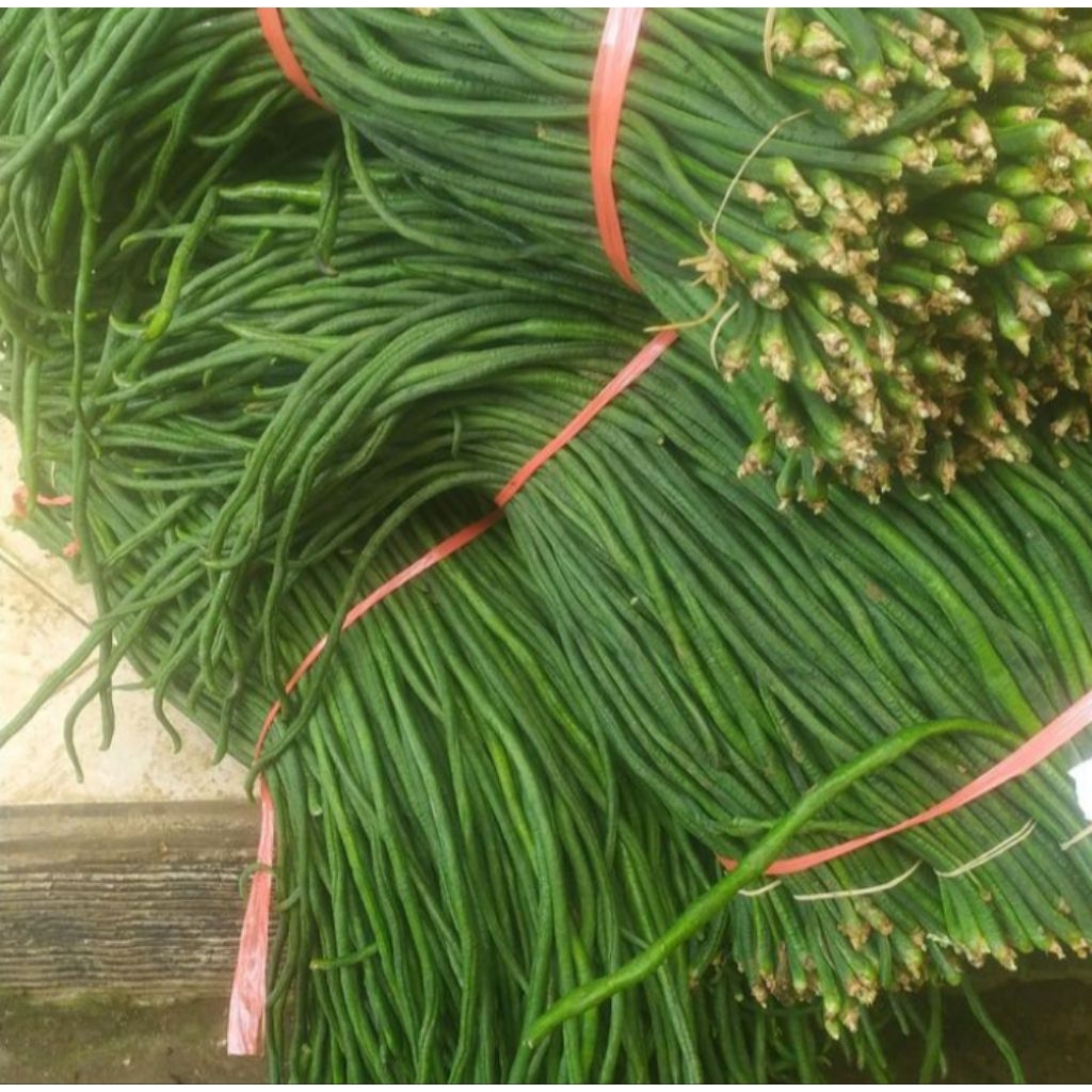 

Kacang Panjang 500gr