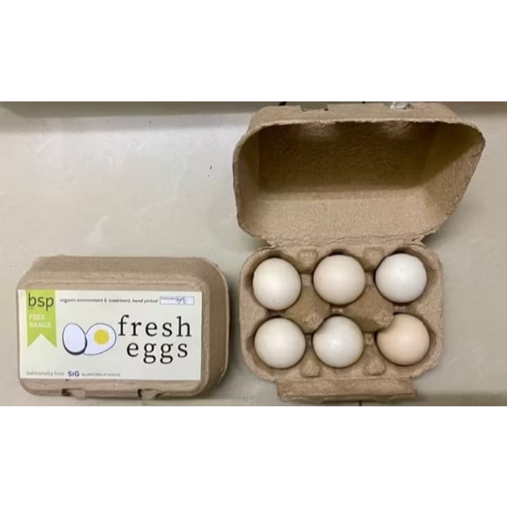 

Telur ayam kampung Free range Bsp farm isi 6