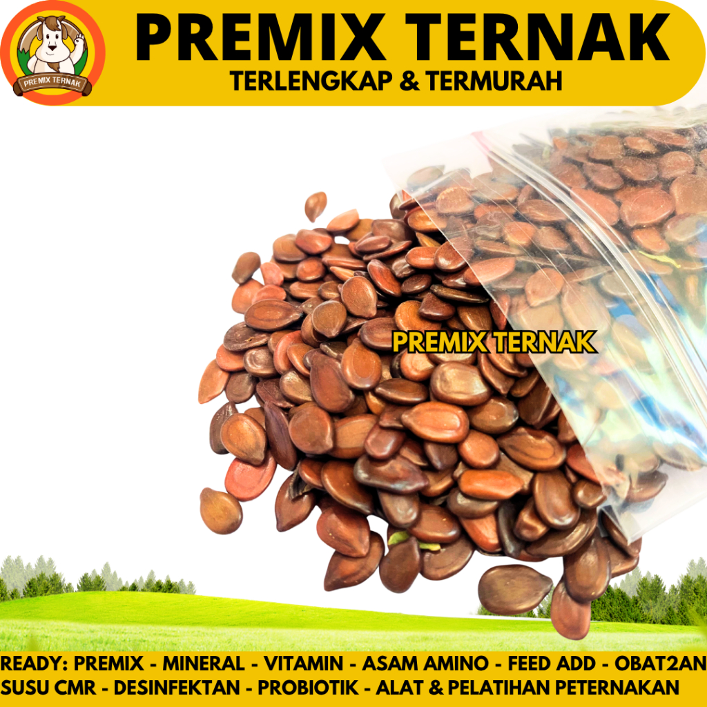 BENIH LAMTORO TARAMBA SUPER 1kg- Hijauan pakan ternak sumber protein - BIJI LAMTORO 1 kg