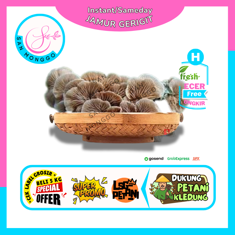 

Sanmonggoo >> Jamur Gerigit -- Hasil Bumi Sindoro Sumbing Ecer (H)