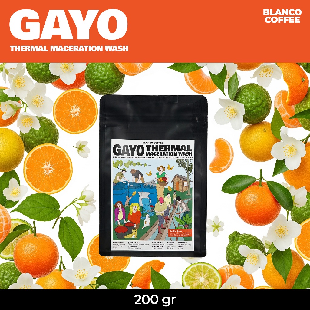 

Kopi Single Origin Gayo Pantan Musara Thermal Maceration Wash 200GR - Filter Roast - Thermal Wash