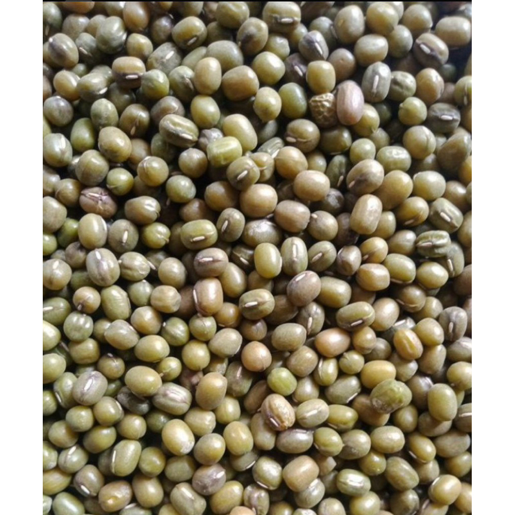 

KACANG HIJAU IMPORT ( VENEZUELA ) KEMASAN 1 KG