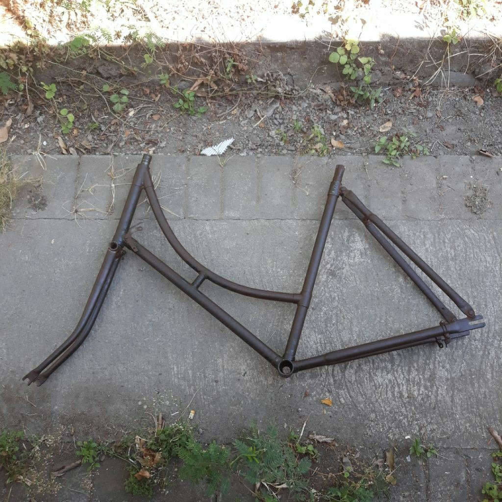 frame onthel dames raleigh