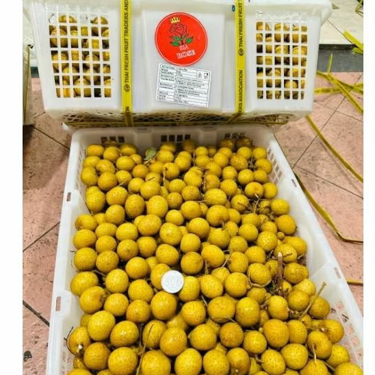 

■BUAH■ KLENGKENG ROSE 11,5 KG/Krat