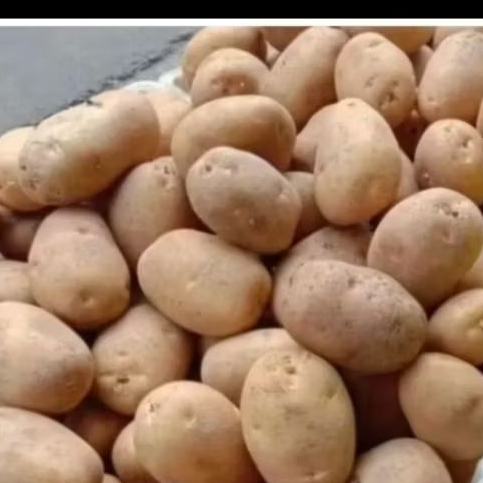 

kentang Wonosobo ukuran sedang 500gr